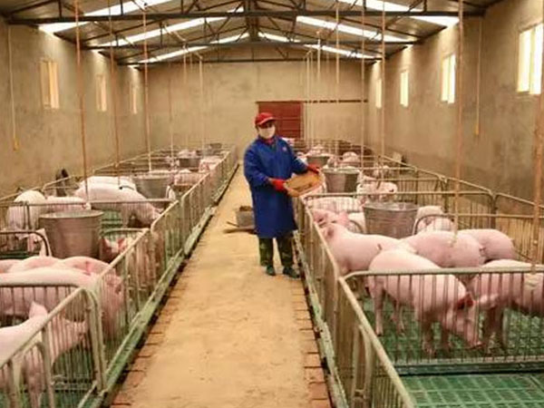 r(nng)B(yng)ֳiF(xin)(chng)